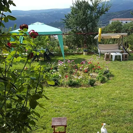 Guest house Agush