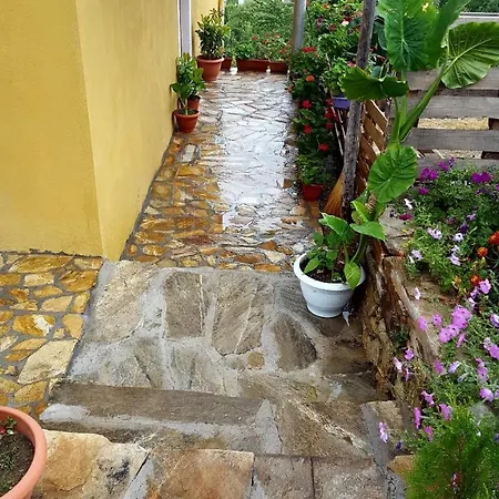 Guest house Agush